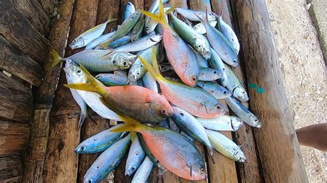 dalagang malibog|dalagita .